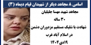 ۸ شهید دیگر قیام
